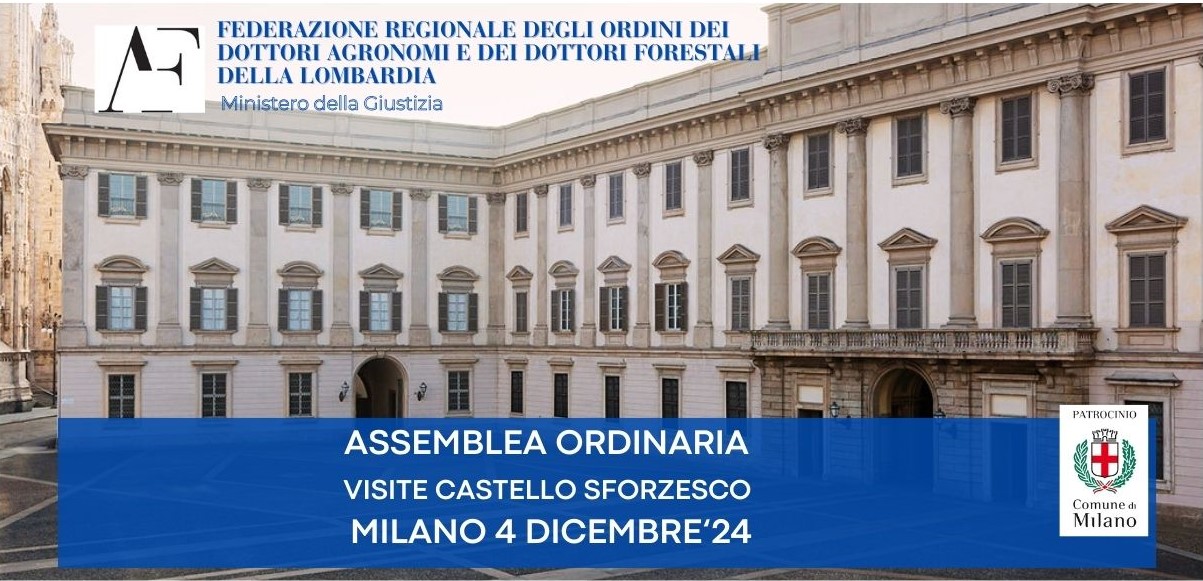 CONVOCAZIONE ASSEMBLEA ORDINARIA – VISITA GUIDATA ARAZZI DEL BRAMANTINO E CASTELLO SFORZESCO – MILANO 4/12/24